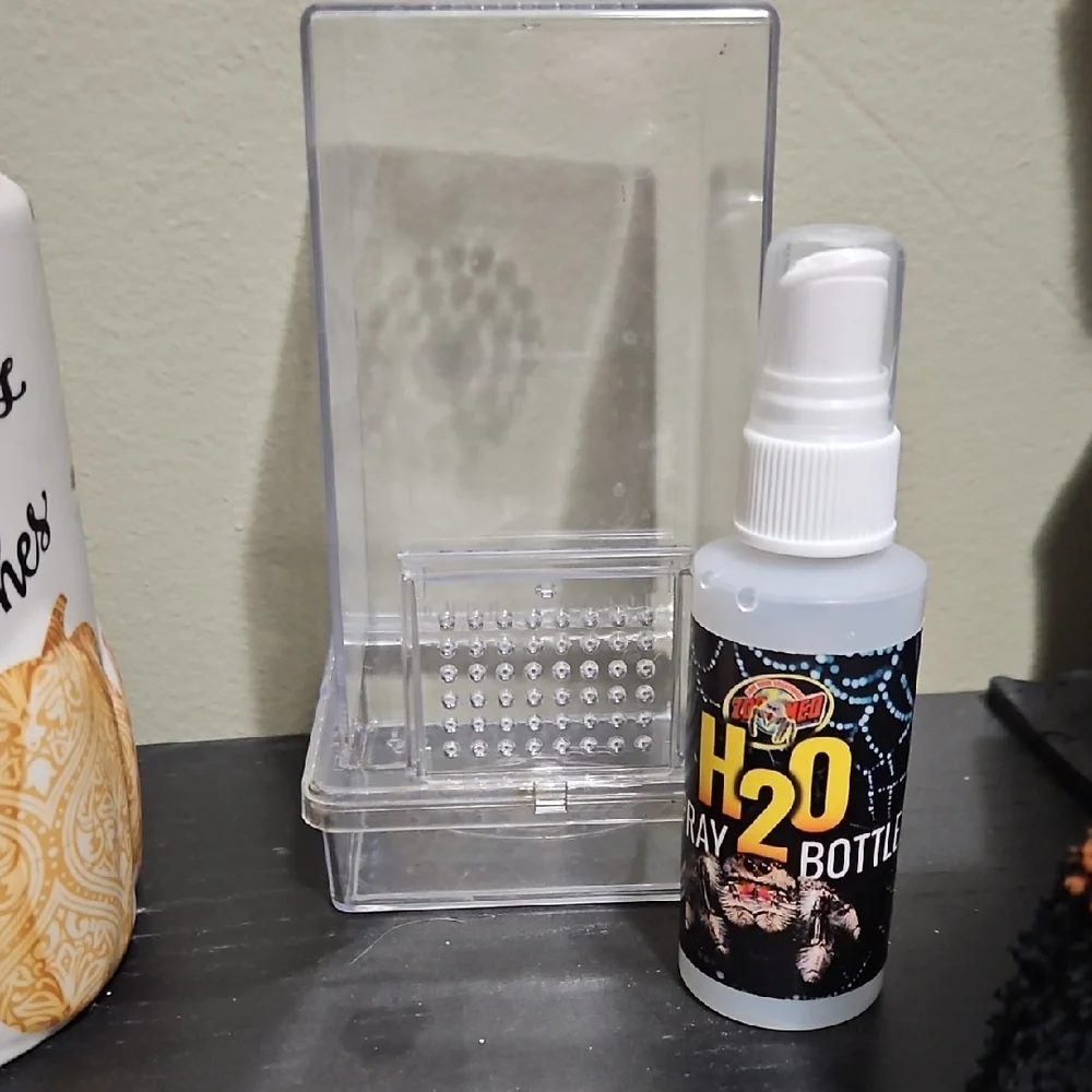 Zoo Med Jumping Spider Set